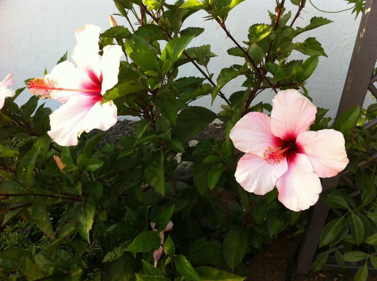 Bungalow La Datura 엘파소 외부 사진
